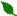 lehti